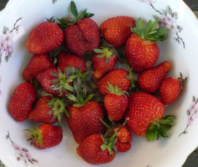 Gelato alla fragola con yogurt