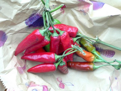 Salsa di peperoncino piccante