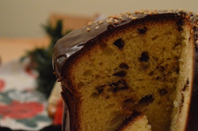 Panettone al cioccolato Bimby