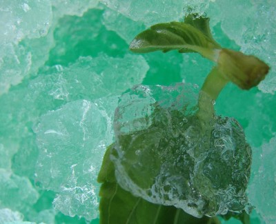 Granita alla menta