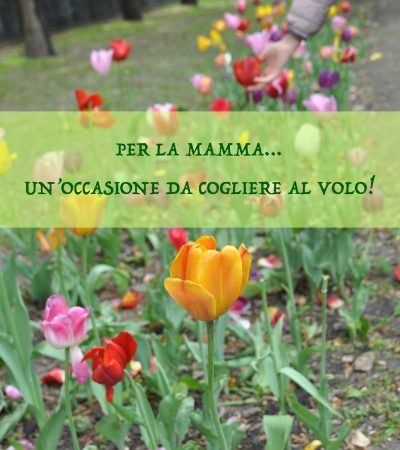 Festa della mamma: l’occasione da cogliere