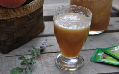 Aperitivo analcolico alla pesca