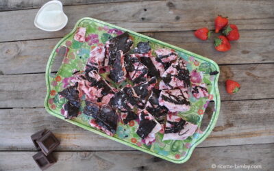 Barrette di Frozen Yogurt