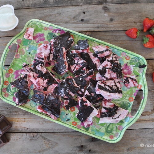 Barrette di frozen yogurt Bimby