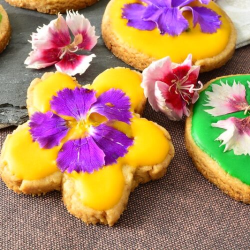 biscotti con fiori eduli bimby colorati