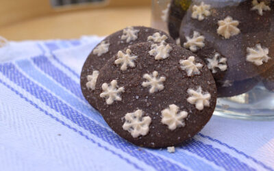 Biscotti pan di stelle