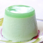 Budino alla menta Bimby