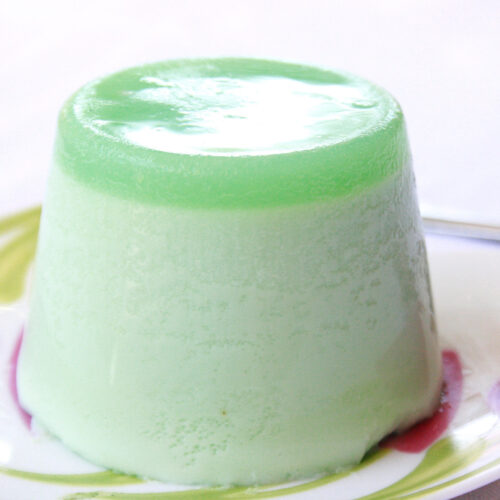 Budino alla menta Bimby