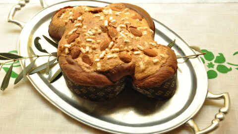 Colomba pasquale fatta in casa col Bimby