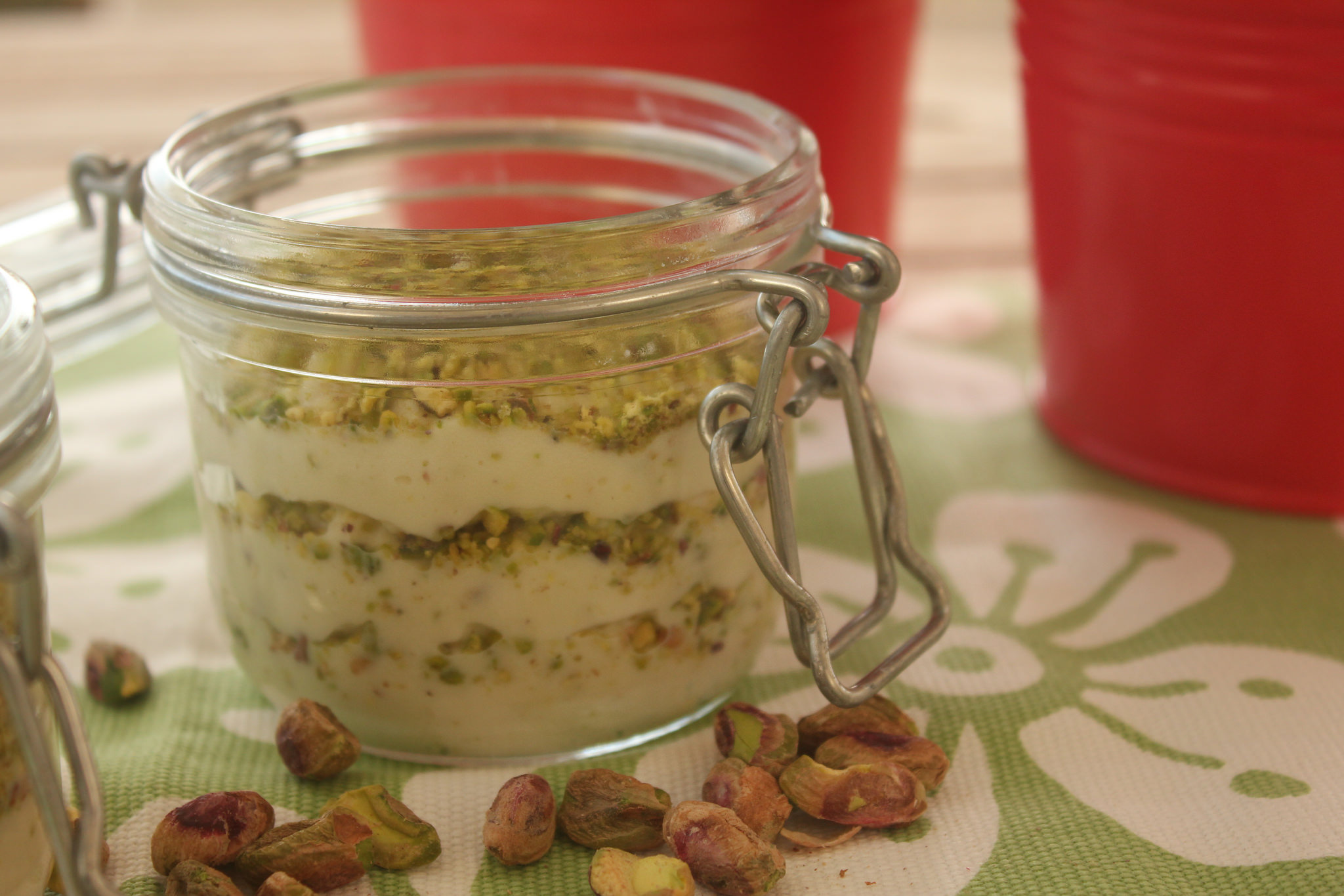Crema al pistacchio e cioccolato bianco Bimby TM31
