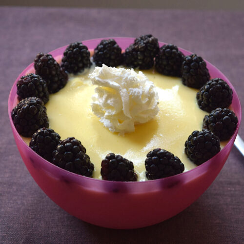 Crema pasticcera allo yogurt Bimby