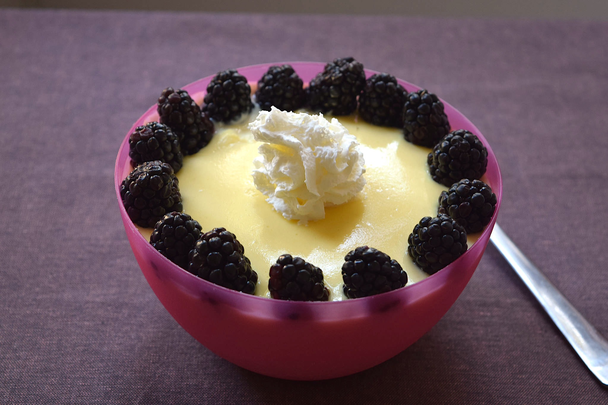 Crema pasticcera allo yogurt Bimby