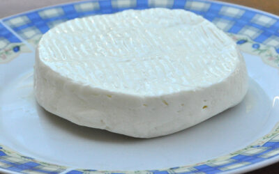 Formaggio primo sale con Bimby
