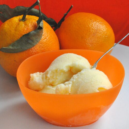 Gelato all'arancia Bimby