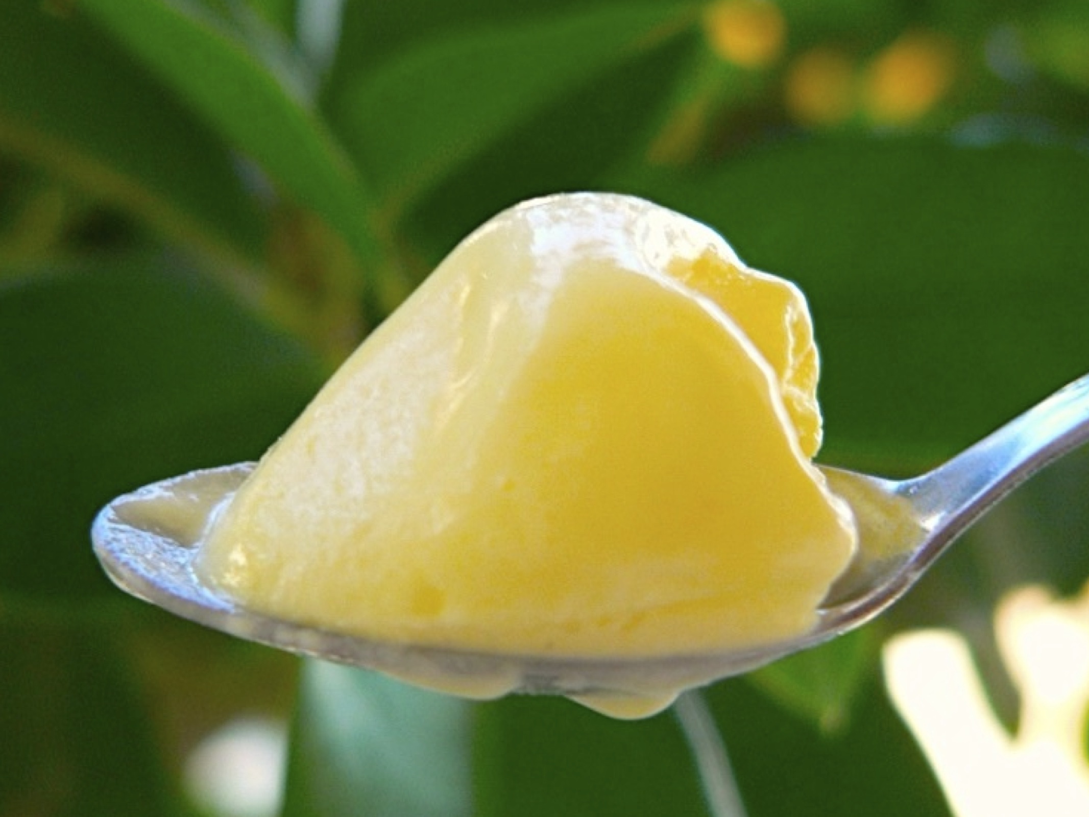 Gelato alla crema Bimby