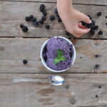 Gelato alle more Bimby