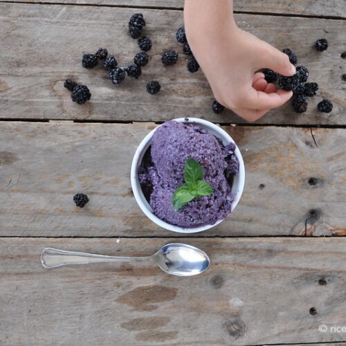 Gelato alle more Bimby