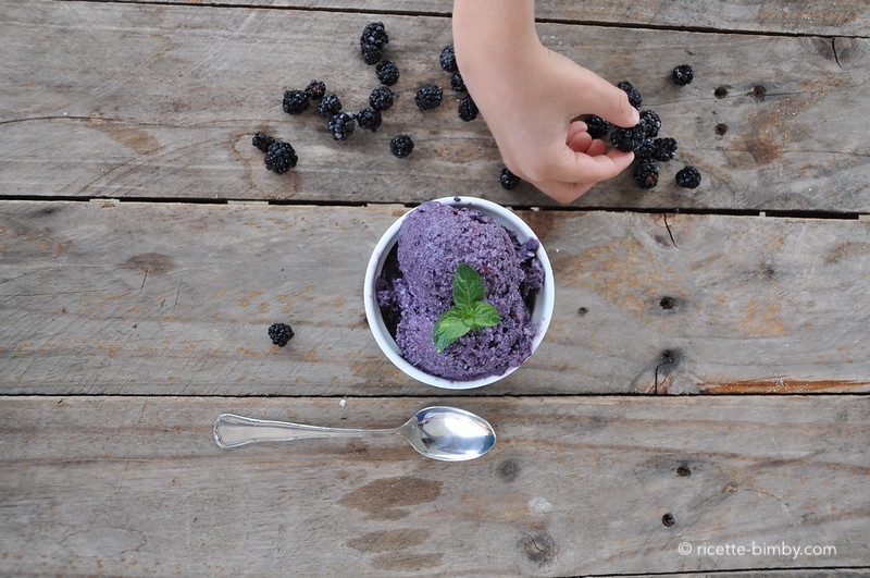 Gelato alle more Bimby