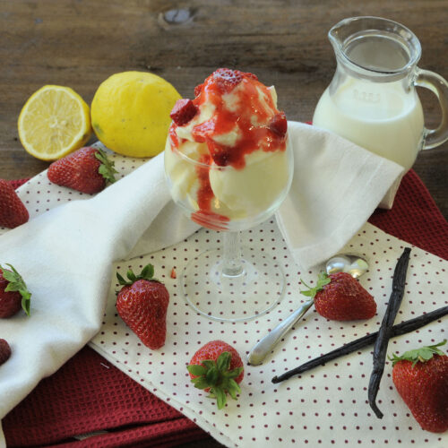 Gelato fiordilatte Bimby