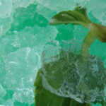 Granita alla menta Bimby