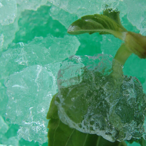 Granita alla menta Bimby