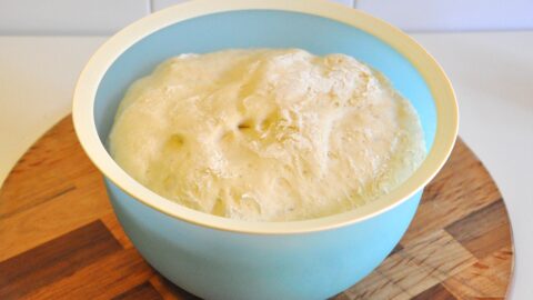 Impasto pizza: la ricetta per pizza Bimby perfetta