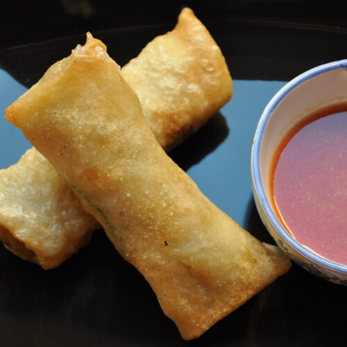 Involtini primavera Bimby