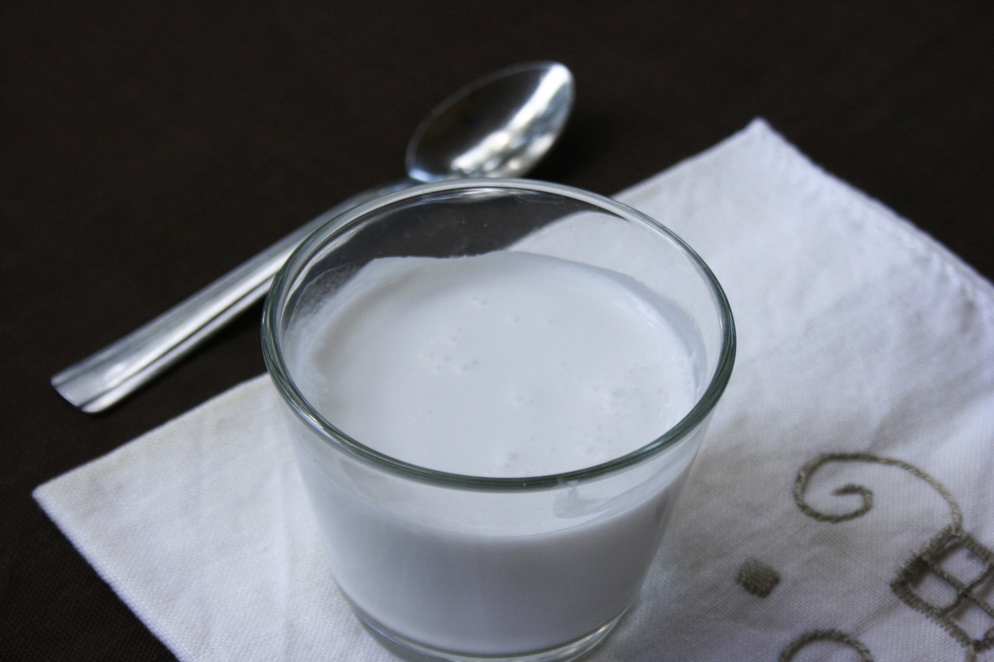 Latte di cocco Bimby