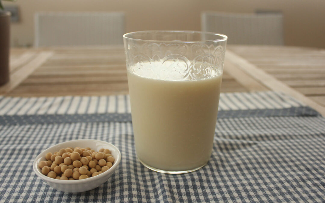 Latte di soia