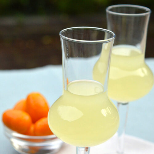 Liquore mandarini cinesi Bimby