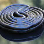 Liquore alla liquirizia Bimby