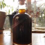 Liquore nocino Bimby