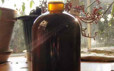 Liquore nocino