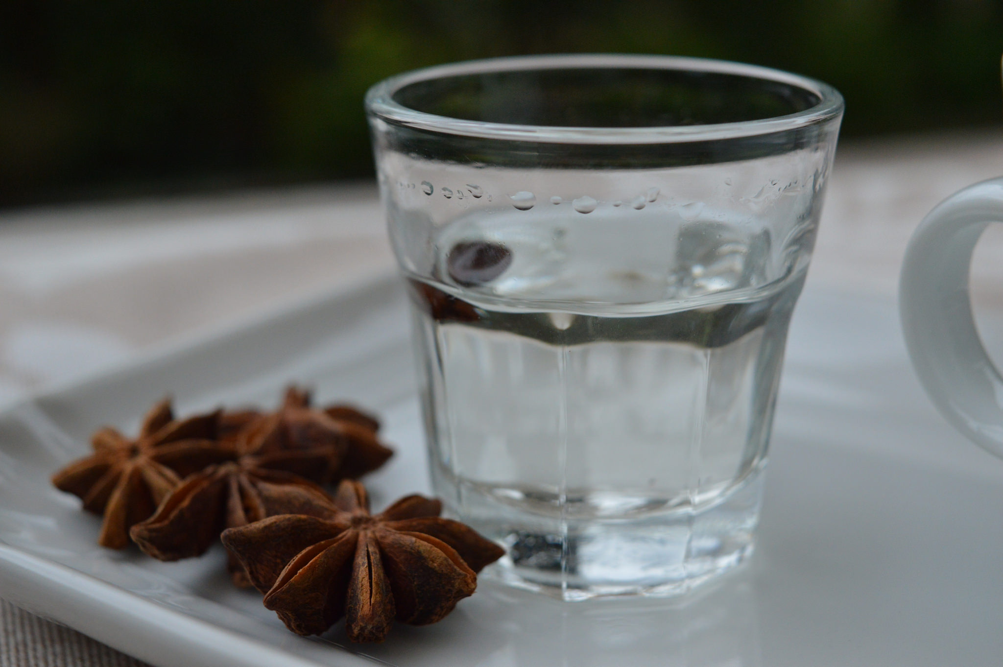 Liquore sambuca con il Bimby