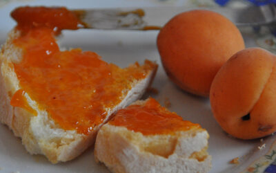 Marmellata di albicocche Bimby