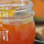 Marmellata di melone Bimby