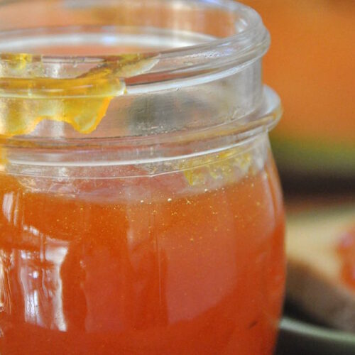 Marmellata di melone Bimby