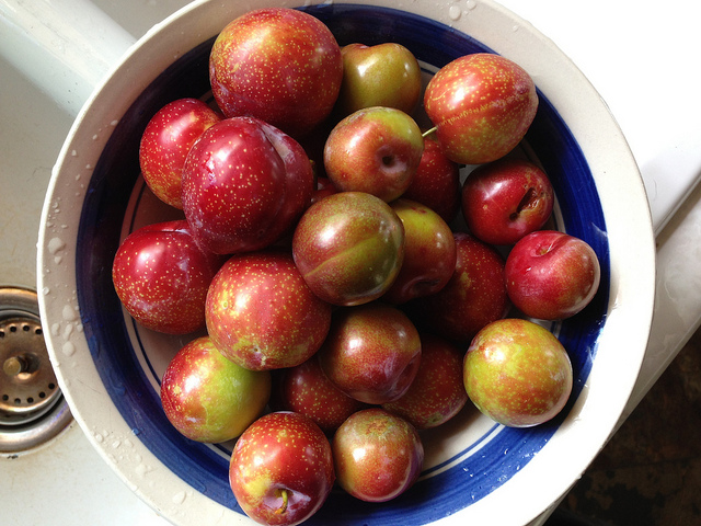 Omogeneizzato prugna Bimby