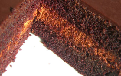 Pan di spagna al cacao