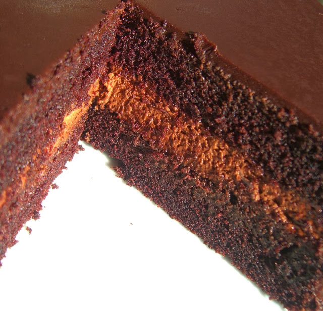 Pan di spagna al cacao Bimby