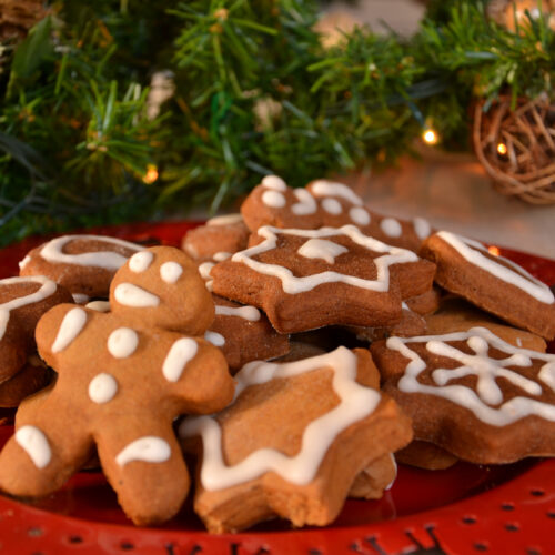 Biscotti pan di zenzero Bimby