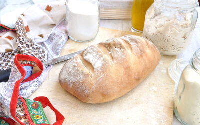 Pane con lievito madre