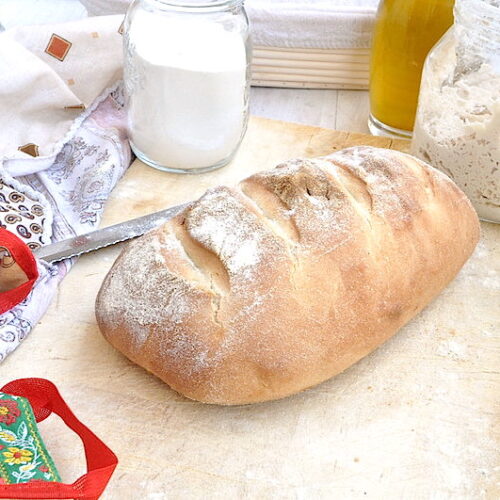 Pane Bimby con lievito madre