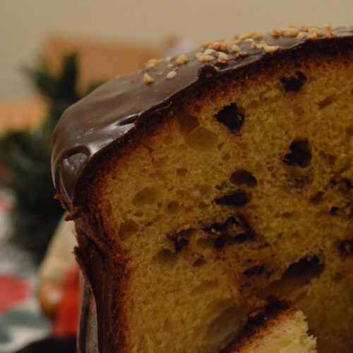 Panettone al cioccolato Bimby