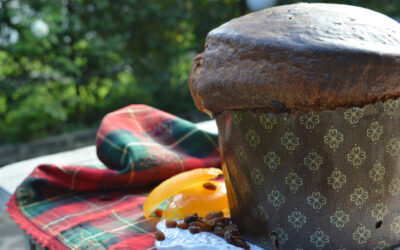 Panettone Bimby