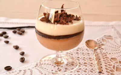 Panna cotta bicolore