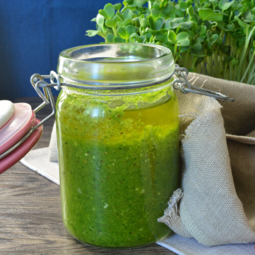 Pesto di crescione Bimby