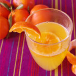 Punch al mandarino Bimby