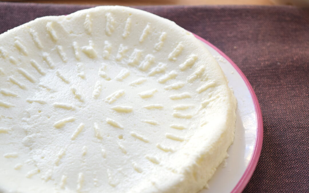 Ricotta fatta in casa