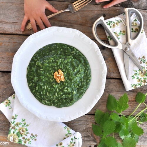 Risotto alle ortiche Bimby